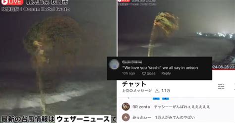 Palm Tree Goes Viral As People Root For Its Survival During .